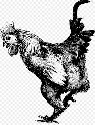 Jogar online jogos do galo mais de 15.000 jogos grátis e jogos online em flash jogos novos todos os dias. Galo Dominique De Frango Ingles Antigo Jogo De Galinhas Png Transparente Gratis