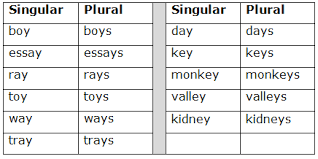 Typically the distinction is between the speaker (first person), the addressee (second person), and others (third person). Course English Class 5 Topic Singular And Plural Noun