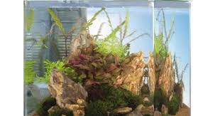 Eheim Aquastyle Nano Akvaryum Seti 35 Lt Akvaryum Urunler
