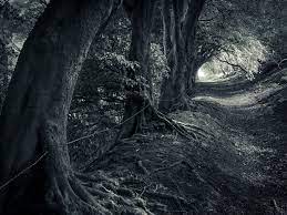 One of the most notable landscape photographers working today, he has a unique vision, expressed in work of extraordinary limerick camera club is delighted to host a talk by david ward, on his first visit to ireland date: The Old Way An David Ward Landscape Photographer Facebook