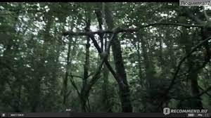 Псевдодокументальная лента адама вингарда «ведьма из блэр: Vedma Iz Bler Novaya Glava Blair Witch 2016 Film Vot Eto Strahoten Dlya Teh Kto Lyubit Po Strashnee Otzyvy Pokupatelej