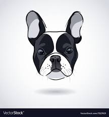 Black And White Frenchie Clipart French Bulldog Head Isolated On White Background Vector Image On Vectorstock Dog Clip Art Bulldog Images French Bulldog