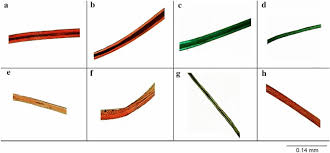 See full list on cademedia.com Colors And Dyes Of Archaeological Textiles From Tarapaca In The Atacama Desert South Central Andes Heritage Science Full Text
