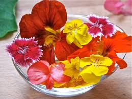 En daflores ponemos a su disposición nuestra colección: Cata De Flores Flores Comestibles En Cocina Pepekitchen
