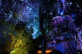 (daily) light turns on at 7:35 p.m. Penang Avatar Secret Garden Tanjung Tokong Penang