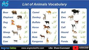 Kitchen utensils vocabulary with images in english. List Of Animals In Urdu For English Learners To Improve Vocabulary