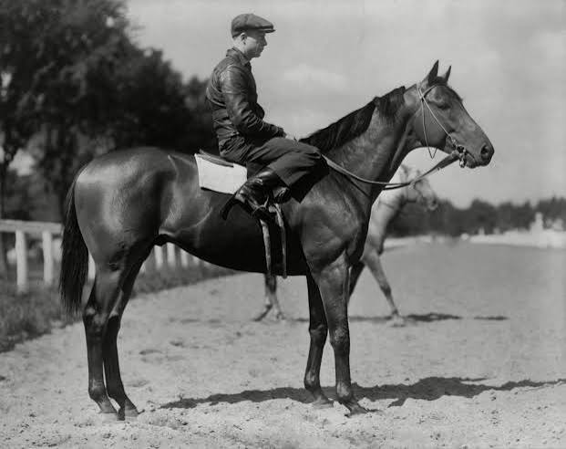 Seabiscuit | American Racehorse Legend & History | Britannica