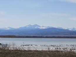 Discover new homes for sale colorado. Wildwing Timnath Colorado Luxury Waterfront Homes Photos