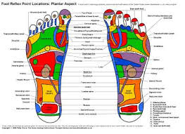 Colour Reflexology Charts For Students And Practitioners Of