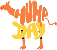 Funny camel pictures welcome to funny pictures gallery. Hump Day Wednesday Gif Humpday Wednesday Camel Discover Share Gifs