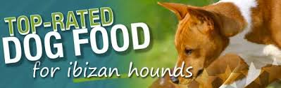 Posting advert on behalf of a friend. Best Dog Food For An Ibizan Hound Puppies Adult Senior Dogs