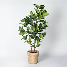 4.2 out of 5 stars 1,734. Artificial Rubber Leaf Tree In Pot Green Threshold Designed With Studio Mcgee Target