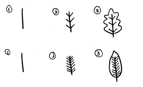 Draw outline for the leaflets. How To Draw Leaves 21 Best Tutorials For Beginners Craftsonfire