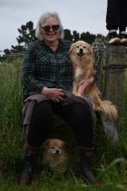 Ellie's Canine Rescue &...