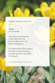 Alchemy By Sara Teasdale In 2020 Garden Poems Butterfly Garden Design Amazing Gardens