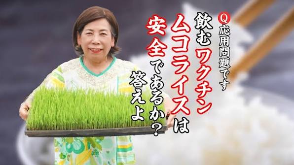 【 応用問題：飲むワクチン「ムコライス」は安全か？答えよ📝 】, ⁡, 人類が賢くなってきたので、, 応用問題が出ました！, ⁡,  今までワクチンと言えば注射でしたが、, 米にコレラの毒素の遺伝子を挿入した, 飲むワクチン・ムコライスが開発されました。, ⁡,  しっかりと胃腸で消化すれば大丈夫？？, ⁡, 明日5/4 に行われる豊受Dayでの, とらこ先生の回答に注目しましょう。, ⁡, ...