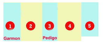 Shuffet/Pedigo/Garmon Cemetery, Adair Co., KY