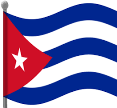 Pin On Flags