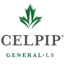 Check spelling or type a new query. About Our Tests Paragon Testing Enterprises