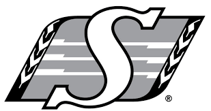 You'll need a small amount of green, black, and white. Saskatchewan Roughriders Logos