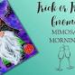 MIMOSA MORNING! Trick or Treat Gnome! Class event image