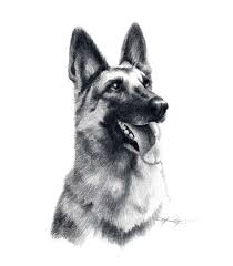 Wear one of our long lasting temporary german shepherd tattoos. German Shepherd Tattoo Designs Page 3 Tattooimages Biz