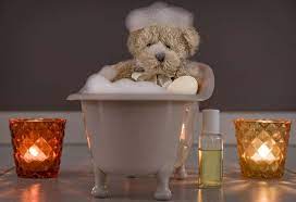 How To Wash A Teddy Bear At Home