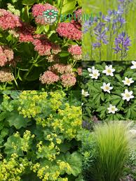 Du Sucht Pflanzen Fur Dein Sonniges Beet Suche Dir Jetzt Ein Beetpaket Fur Deinen Garten Aus Und Lasse Es Dir Ganz Einfa In 2020 Pflanzen Pflegeleichter Garten Garten
