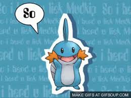 003 Of Pokenet Review I Herd U Liek Mudkipz Pokemon Amino