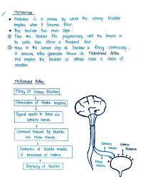 Image result for Nephrology Worksheets