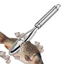 Maybe you would like to learn more about one of these? I Migliori Squama Pesce Professionale Del 2021