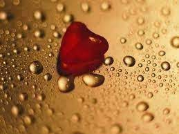 صور رومانسية صور خلفيات قلوب روعة 2015 صور خلفيات قلوب للكميب valentines wallpaper valentine photography holiday wallpaper