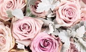 Deal of the day, birthday flowers, sympathy flowers Stems Of Burnside Florist In Rutherglen 0141 643 0240