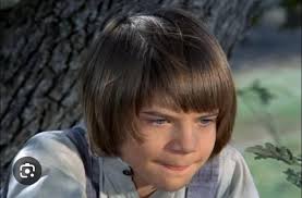 Elmer vs Elmer : r/littlehouseonprairie