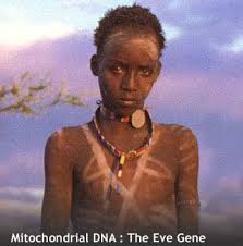 Mitochrondral Eve: the deep maternal ancestor of us all | Mountains and  rivers