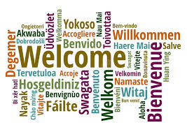 5.0 out of 5 stars. Welcome In Different Languages Wordcloud Vector Stock Vector Illustration Of Italian Isolated 92279809