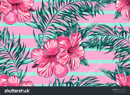 Savings of 15% when purchasing this package! Tropical Flowers Palm Leaves Hibiscus Strips Royalty Free Stock Vector 301671236 Avopix Com