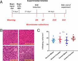 Build healthy eating habits one goal at a time! Alcohol Shifts Gut Microbial Networks And Ameliorates A Murine Model Of Neuroinflammation In A Sex Specific Pattern Pnas
