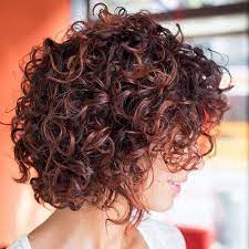 65 Different Versions Of Curly Bob Hairstyle Curly Bob Hairstyles Curly Hair Styles Short Curly Hairstyles For Women
