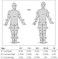 Lund And Browder Chart With Age Appropriate Measuremen Open I