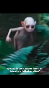 Spotted in the Amazon forest by Scientists! Is that an alien?