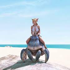 From the big shell whistle mount to the sweep emote, to the trike minion, here's everything about the ffxiv 5.41 update in our comprehensive patch notes. Kaiyoko Star Pa Twitter Big Shell Ffxiv Ff14 Obtained Enie The Firmament 12 0 14 0 Big Shell Whistle For X8 400 Skybuilders Scrips Https T Co Aua6re45qs