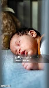 236 Dsc 9657 Stock Photos, High-Res Pictures, and Images