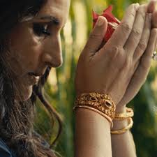 Ayurveda Education Online