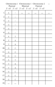 Mutations can also be caused by external factors, such as radiation, carcinogens, drugs, or even some viruses. Uncertainty Principle Of Genetic Information In A Living Cell Springerlink