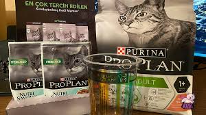 Pro Plan Kisirlastirilmis Kedi Mamasi Hediye Paketi Incelemesi En Iyi Kedi Mamasi