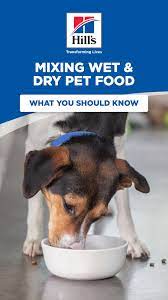 Mixing Wet And Dry Pet Food Properly Hill S Pet Food Animals Dog Pet Beds Dry Dog Food