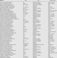 Image result for Canthium oligocarpum