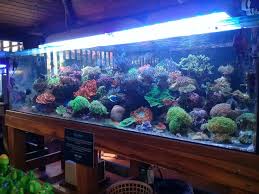 Terkadang ada kaca bekas yang tidak terpakai disekitar rumah yang mungkin bisa anda manfaatkan untuk dijadikan aquarium buatan anda sendiri. Cara Membuat Rumah Rumahan Aquarium Tutorial Cara Membuat Rumah Modern 14 Follow Social Media Saya