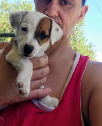 Stay safe and send it!